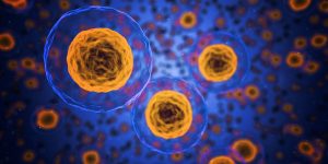 Autoimmune Disease