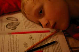 Mood, Behavior, and Neurotransmitters